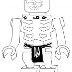 ninjago-skelet